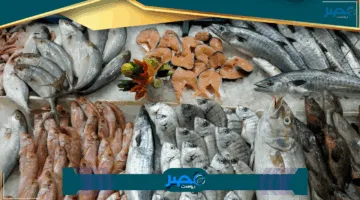 تعرف على أسعار الأسماك اليوم الأحد 1 يونيو 2025 في مطروح.. كيلو المغازل يصل إلى 140 جنيهًا